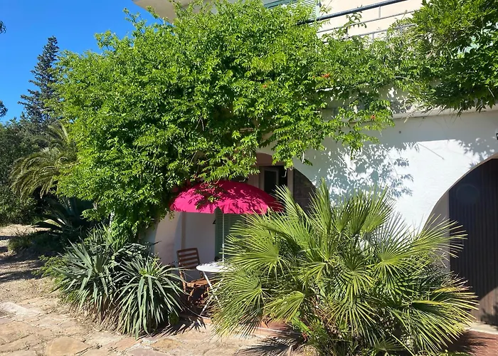 Chez Madou, T1 En Bas De Villa Et Rez De Jardin A 900M De La Mer Et Des Commerces