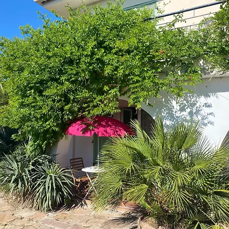 Chez Madou, T1 En Bas De Villa Et Rez De Jardin A 900M De La Mer Et Des Commerces Fréjus Exterior photo
